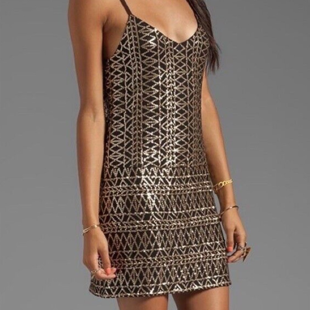 Dolce Vita Dress from Revolve